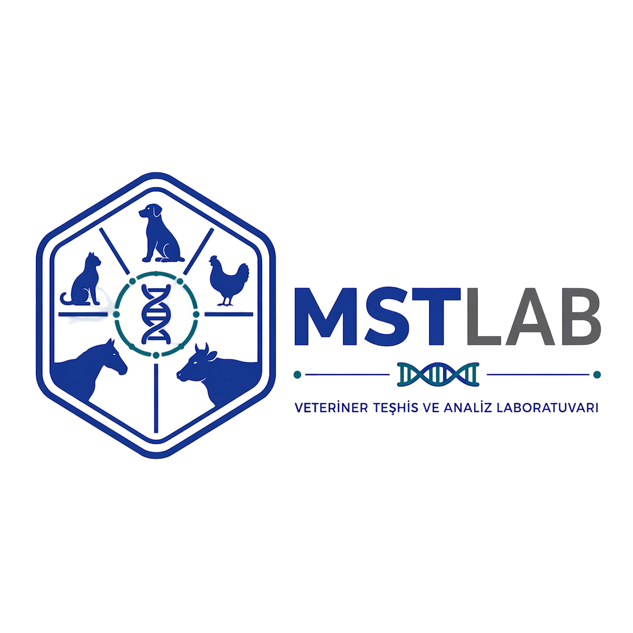 MSTLAB Resmî Logosu
